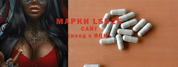 гашик Гусев
