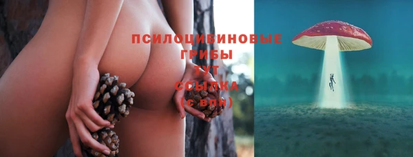 гашик Гусев