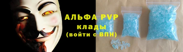 гашик Гусев
