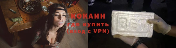 гашик Гусев