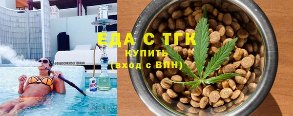 гашик Гусев