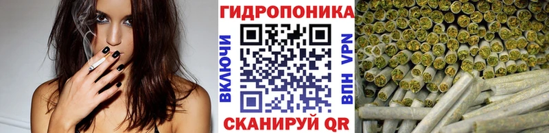 Купить где  Торопец  Конопля план 